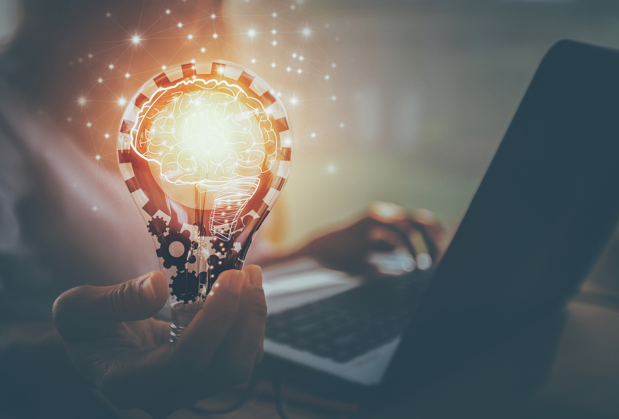 Successful Category Management Practices